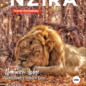 Nzira 18th issue cover page