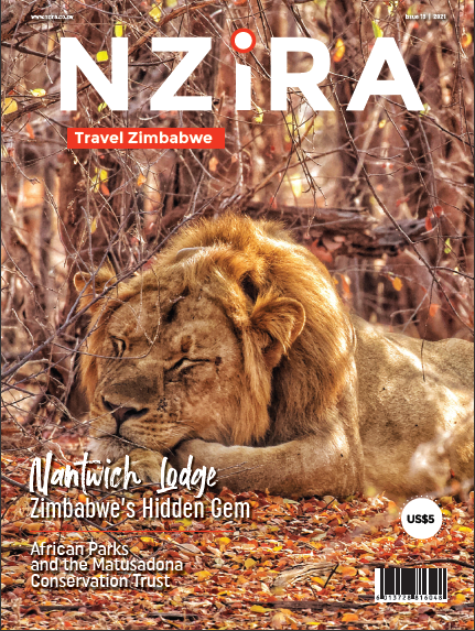 Nzira 18th issue cover page